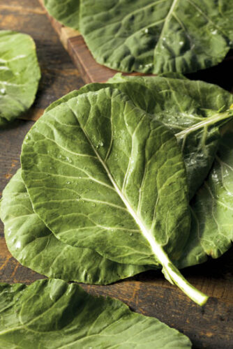 Saving Heirloom Collards